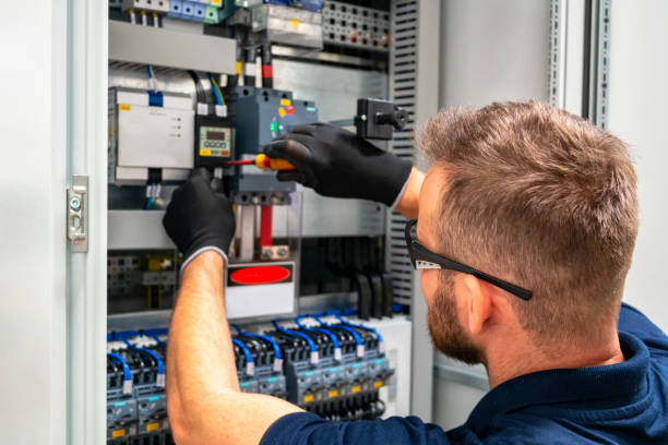 Best Licensed Electrician  in Cottonwood, MN