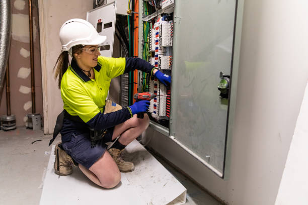 Best Electrical System Inspection  in Cottonwood, MN