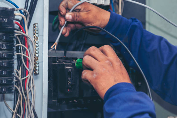 Best Circuit Breaker Repair  in Cottonwood, MN